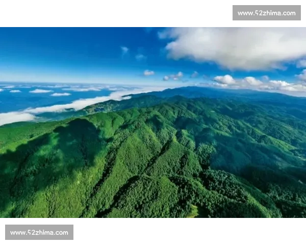 探秘神秘哀牢山腹地感受原始森林秘境与多样生命奇观